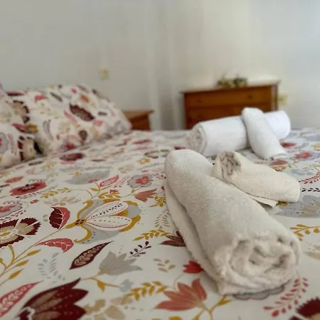 Duplex Manuel Galian 公寓 托雷维耶哈