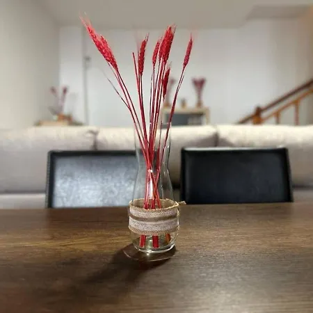 アパート Duplex Manuel Galian