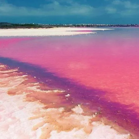 Duplex Manuel Galian *