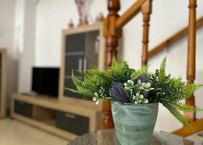 Apartment Duplex Manuel Galian Torrevieja